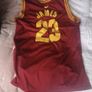 LeBron James Basketball Jersey shirt Image 2