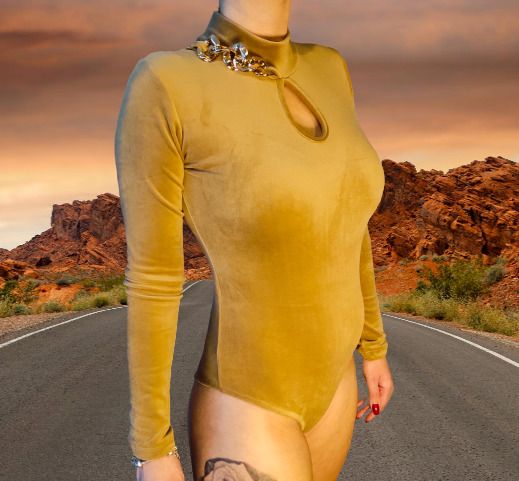 Women's velor body turtleneck