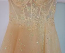 Debs  / TY dress