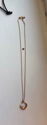 Mettle and Bloom Gold 14k plated Crescent Necklace