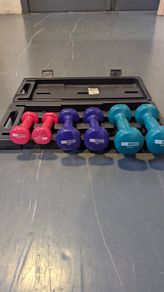 Pro Fitness Dumb bells set
