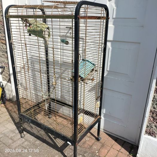 bird cage