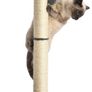 Medium Cat Scratching Post - 16 x 16 x 32 Inches, Grey (FREE POSTAGE) Image 3