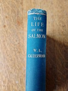 The Life of the Salmon 1907 Antique Book