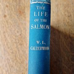 The Life of the Salmon 1907 Antique Book