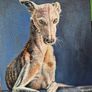 #2 Spanish Greyhound / Galgo Espaniol / oil painting on canvas panel Image 6