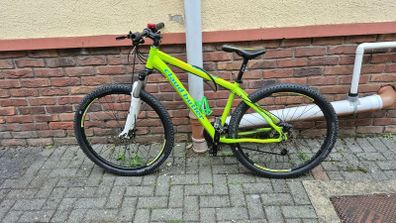 cycle