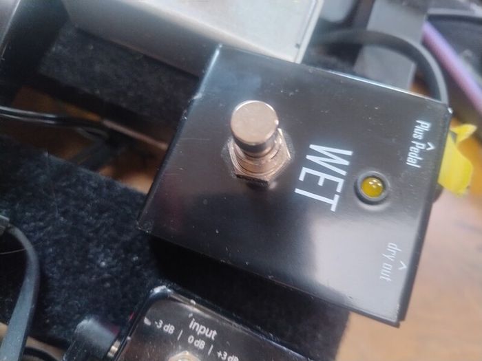 Gamechanger Audio Plus sustain pedal & WET switch