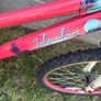 girls bike Image 3