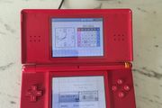DS Lite with Charger