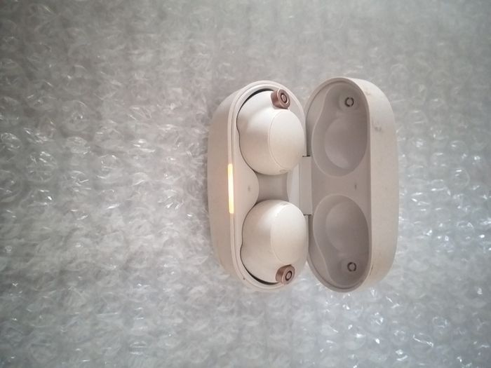 Sony WF-1000XM4 Wireless Earbuds with Charging Case