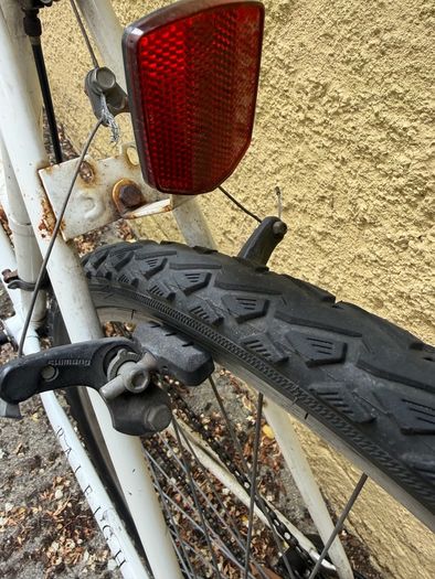 Raleigh Pioneer