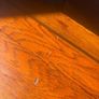 Military style Walnut Coffee Table Image 10