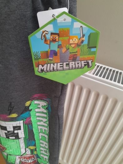 New Boys Minecraft Shorts
