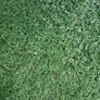 artificial grass Image 4
