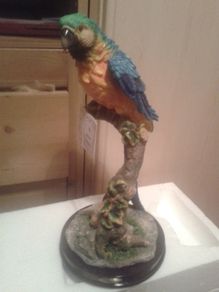 Handmade parrot by the jultana collection.