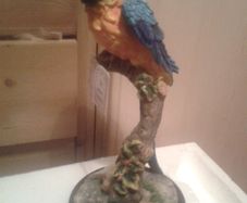 Handmade parrot by the jultana collection.