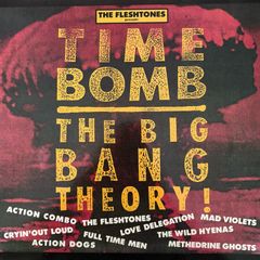 Garage rock, alternative and rockabilly compilation LP from 1988. The Fleshtones Present. Nine different bands and 12 tracks. Like new. Bargain!