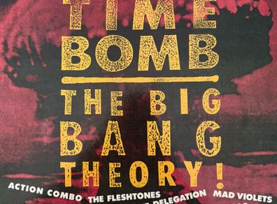 Garage rock, alternative and rockabilly compilation LP from 1988. The Fleshtones Present. Nine different bands and 12 tracks. Like new. Bargain!
