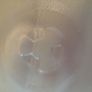 microwave plate Image 3