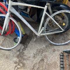 fixie