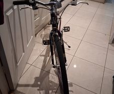 Older Girls Raleigh bike 26"