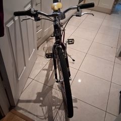 Older Girls Raleigh bike 26"