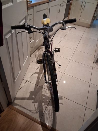 Older Girls Raleigh bike 26"