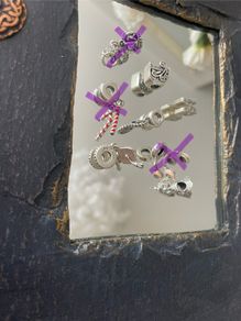 Pandora  charms