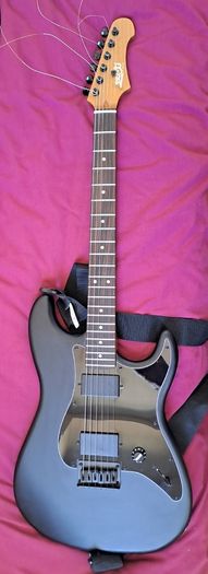 Guitar With Accessories