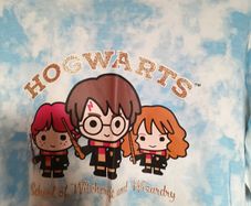Girls Harry Potter Tee Shirt age 13 to 14