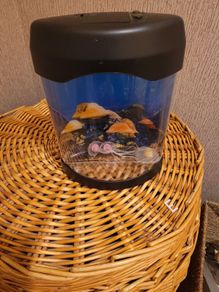 fake fish tank