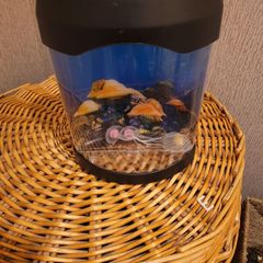 fake fish tank