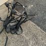 Bike carrier Image 3