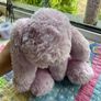 jellycat Image 2