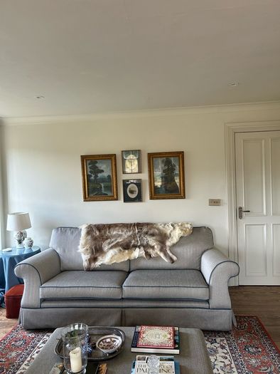 Reindeer Hide rug