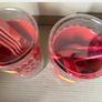 8 Ice Cream Bowls & Spoons Image 2