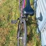 ladies/teenagers bike Juniper Tuscan Image 2
