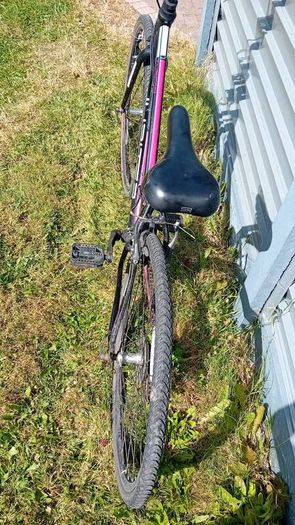 ladies/teenagers bike Juniper Tuscan
