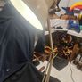 anglepoise lamp Image 10