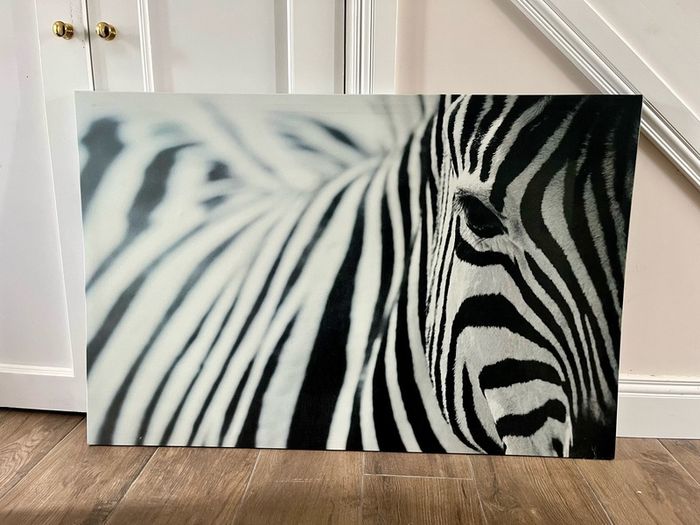 Ikea Zebra canvas print