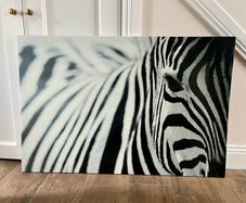 Ikea Zebra canvas print