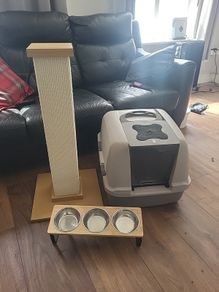 Free cat accessories