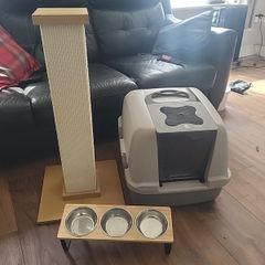 Free cat accessories