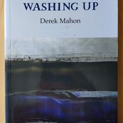 Washing Up Book