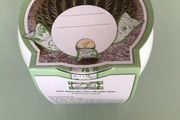 Cactus Grow Set