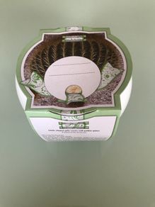 Cactus Grow Set