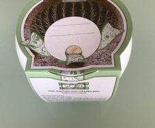 Cactus Grow Set