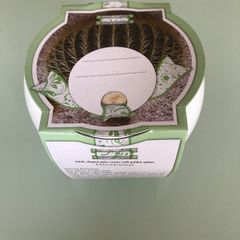 Cactus Grow Set