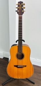 Takamine G Series